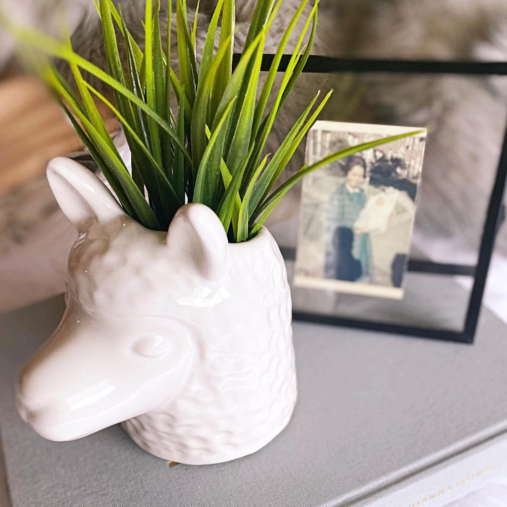 Llama Head Planter NWT